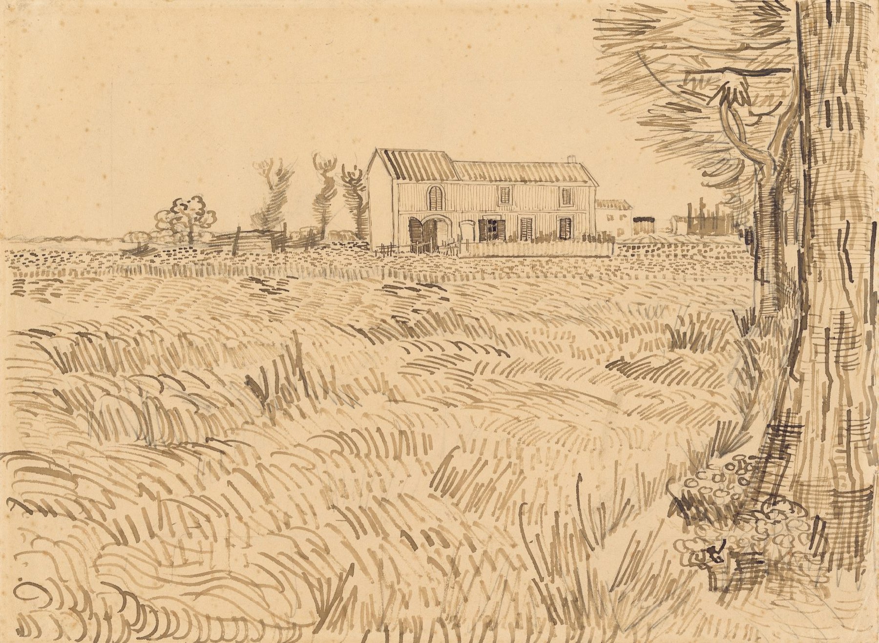 Boerderij in het koren Vincent van Gogh (1853 - 1890), Arles, april 1888