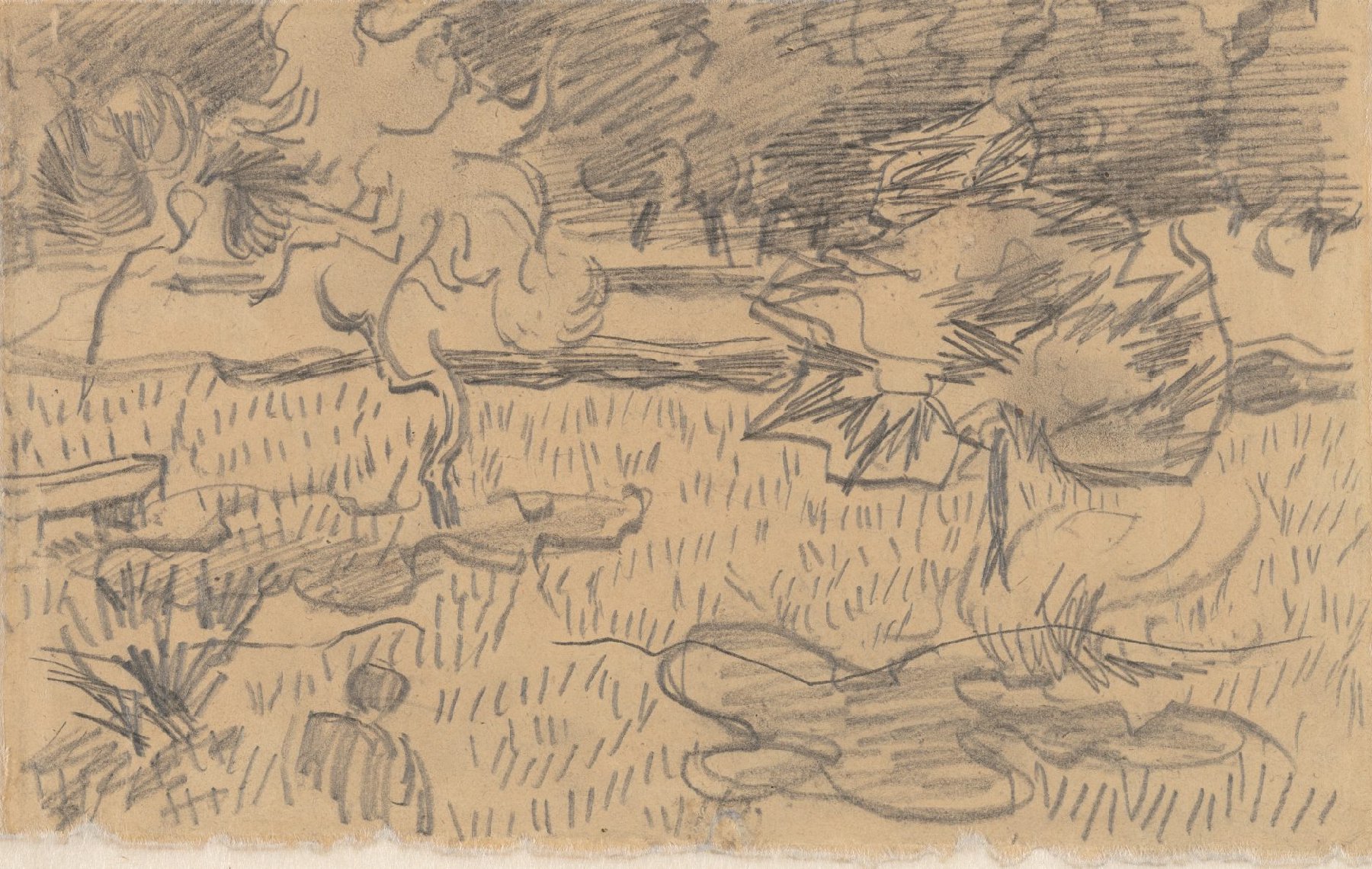 Bomen in de tuin van de inrichting Vincent van Gogh (1853 - 1890), Saint-Rémy-de-Provence, oktober 1889