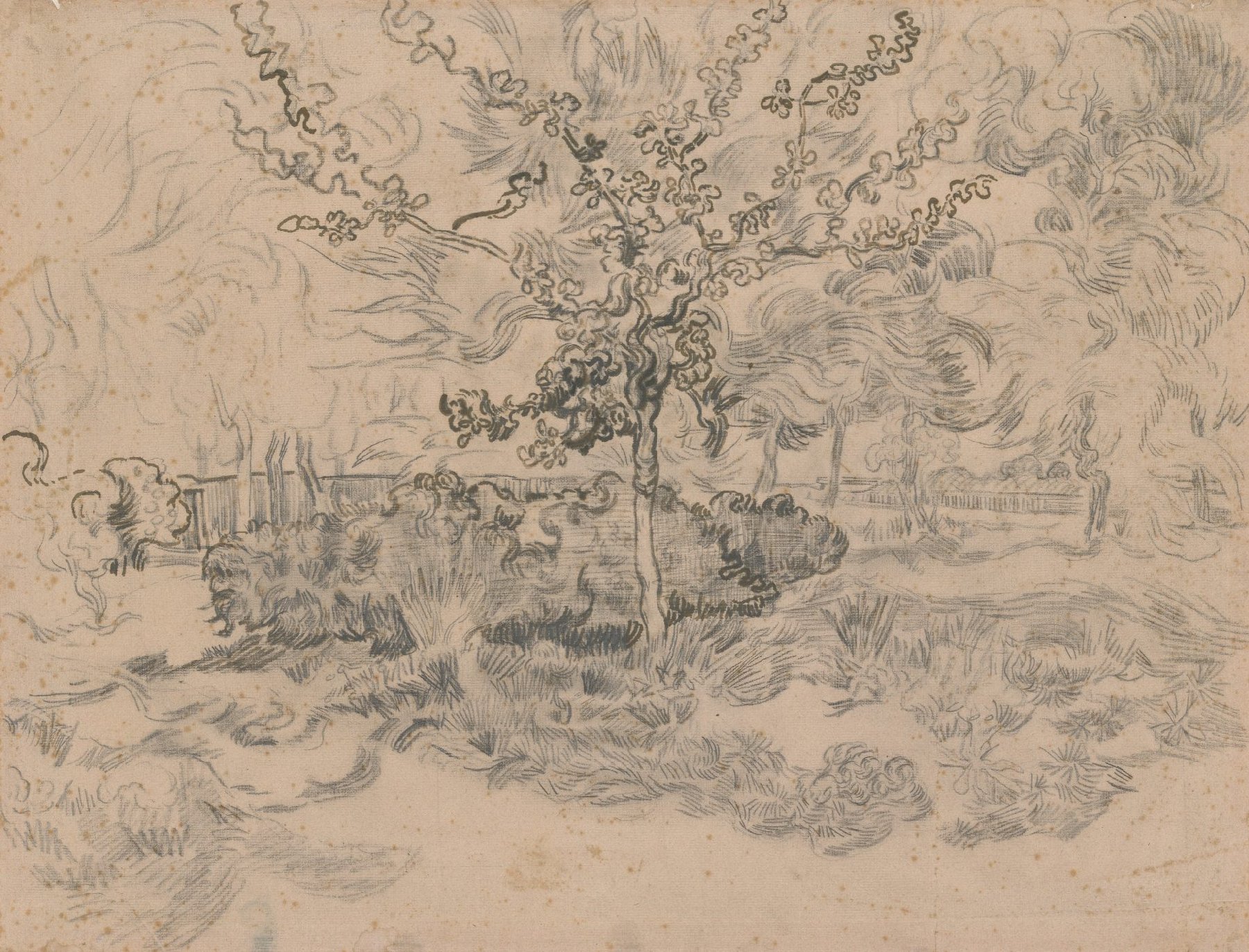 Bomen in de tuin van de inrichting Vincent van Gogh (1853 - 1890), Saint-Rémy-de-Provence, mei-juni 1889