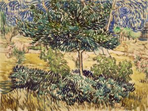 Boom en struiken in de tuin van de inrichting Vincent van Gogh (1853 - 1890), Saint-Rémy-de-Provence, mei-juni 1889