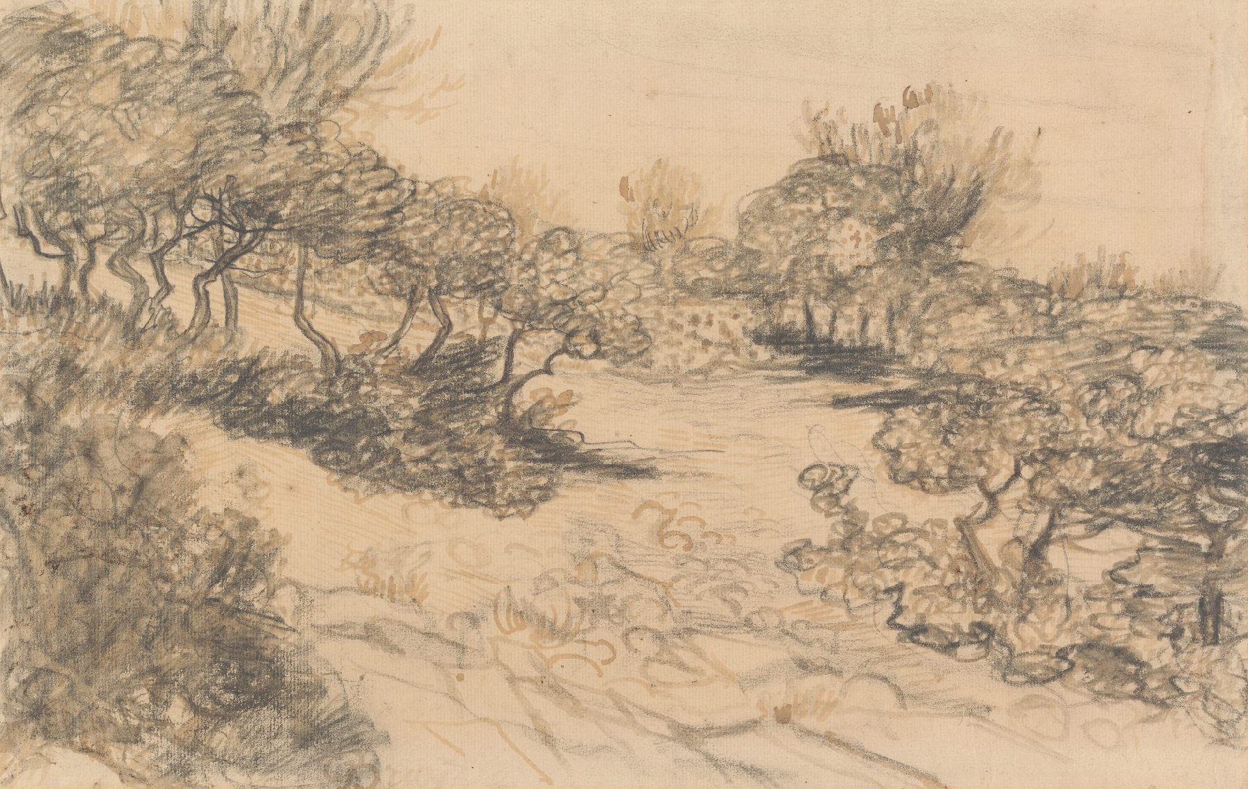 Heide Vincent van Gogh (1853 - 1890), Arles, mei 1888
