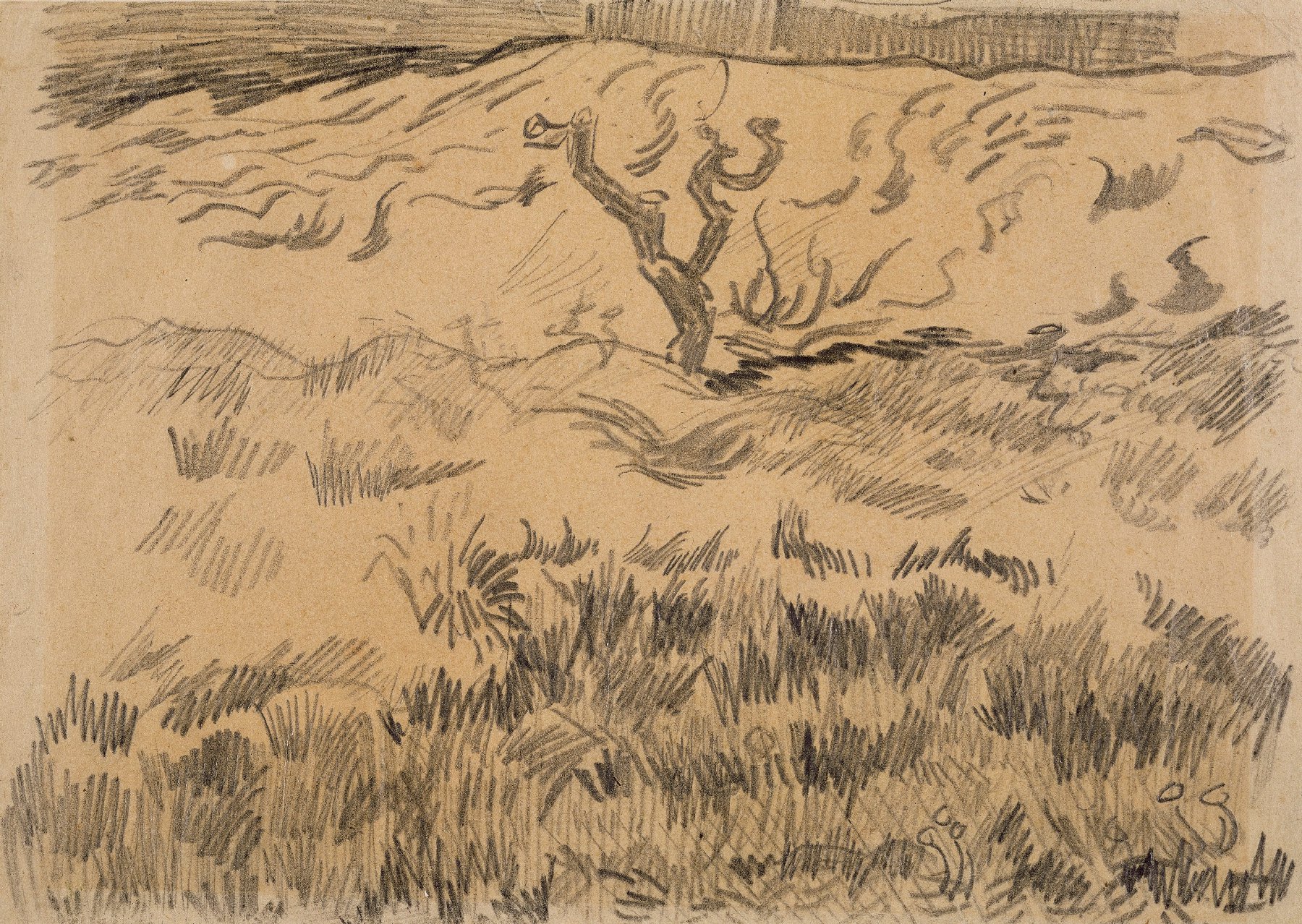 Het ommuurde korenveld met gesnoeide boom Vincent van Gogh (1853 - 1890), Saint-Rémy-de-Provence, april-mei 1890