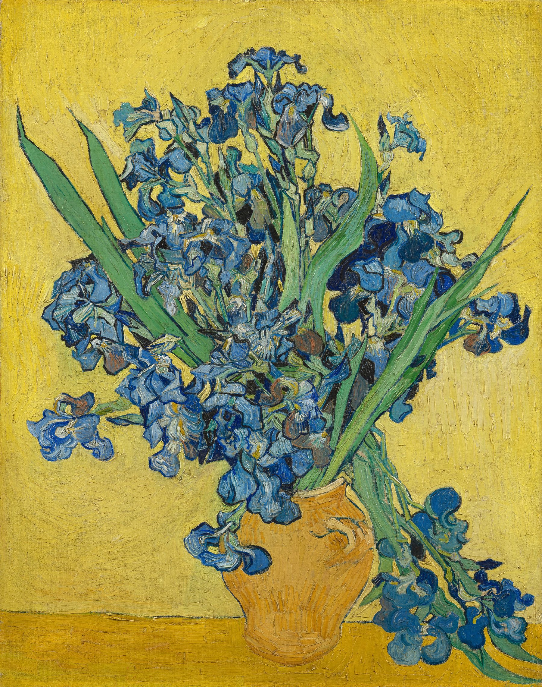Irissen Vincent van Gogh (1853 - 1890), Saint-Rémy-de-Provence, mei 1890