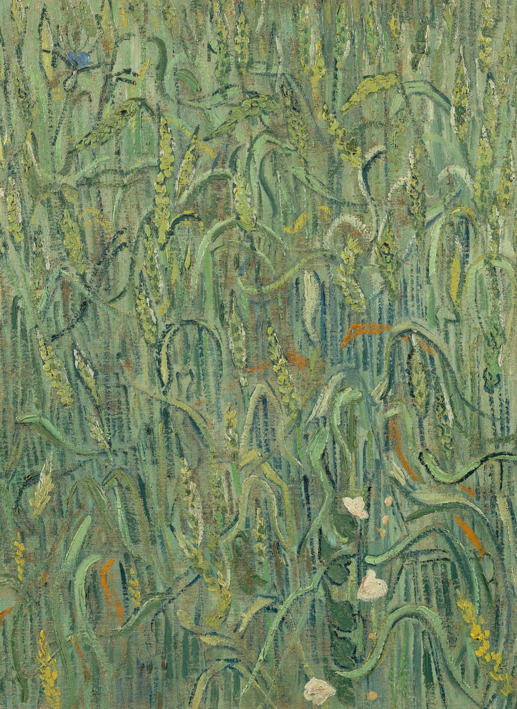 Korenaren Vincent van Gogh (1853 - 1890), Auvers-sur-Oise, juni 1890