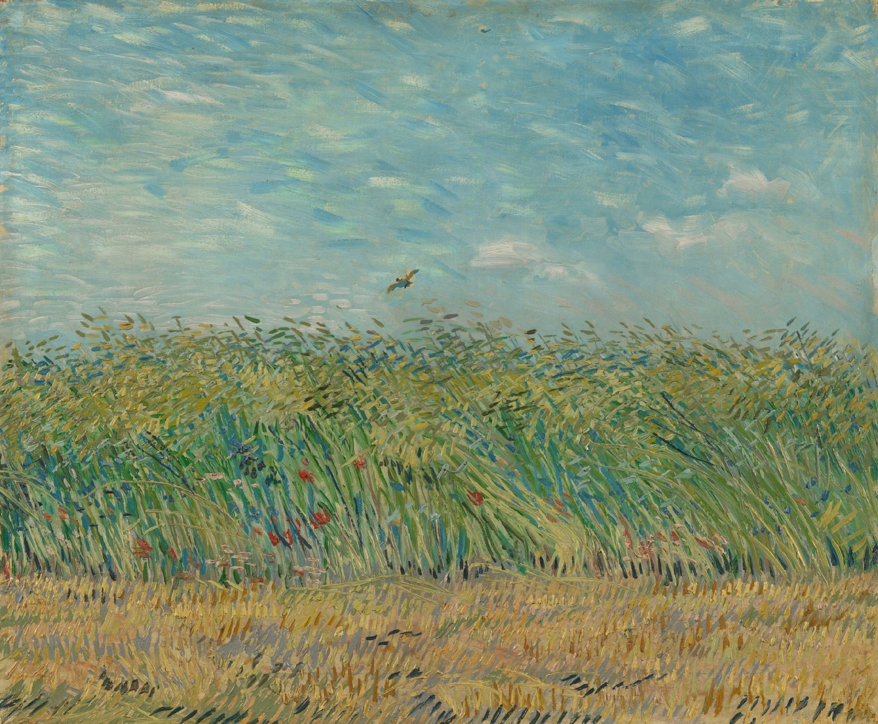 Korenveld met patrijs Vincent van Gogh (1853 - 1890), Parijs, juni-juli 1887