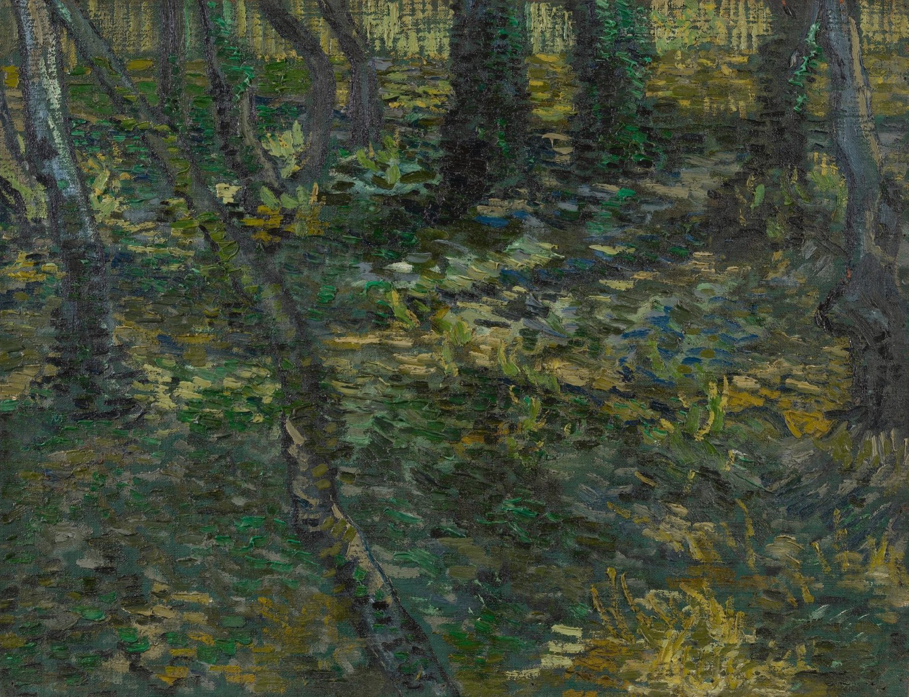 Kreupelhout Vincent van Gogh (1853 - 1890), Saint-Rémy-de-Provence, juli 1889