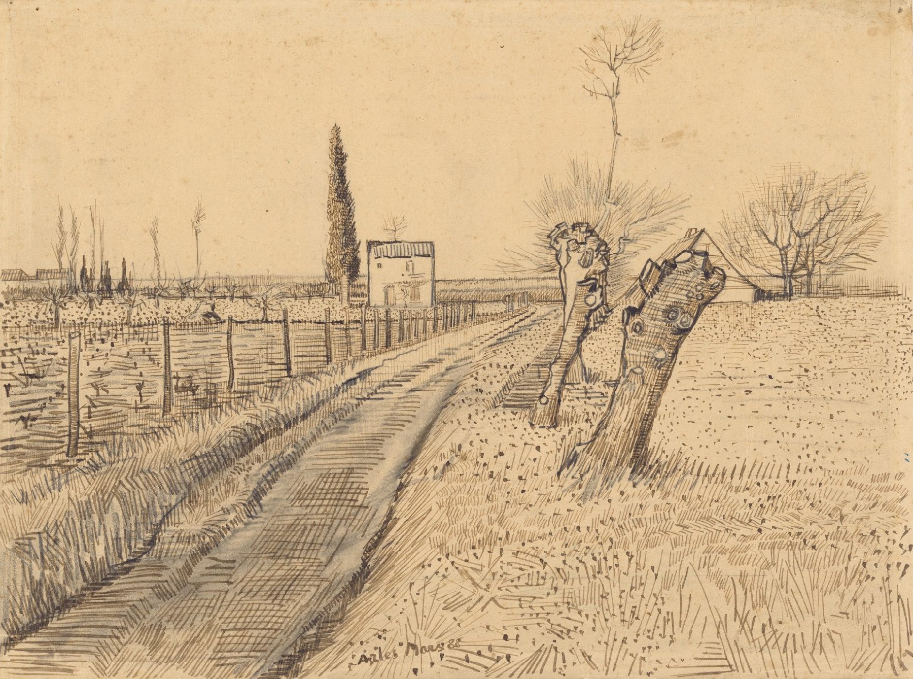 Landschap met pad en knotwilgen Vincent van Gogh (1853 - 1890), Arles, maart 1888