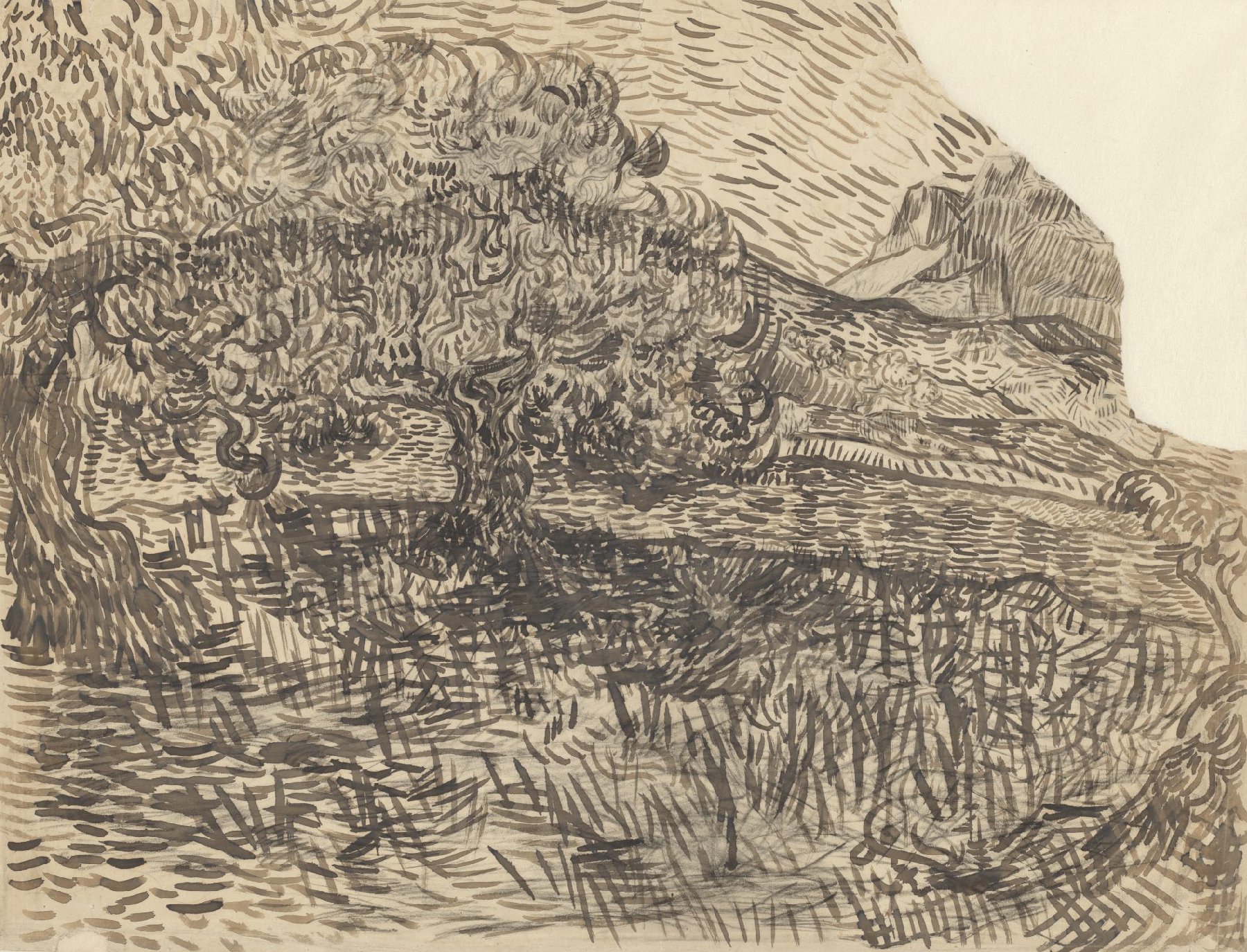 Olijfbomen met de Alpilles in de achtergrond Vincent van Gogh (1853 - 1890), Saint-Rémy-de-Provence, juni 1889