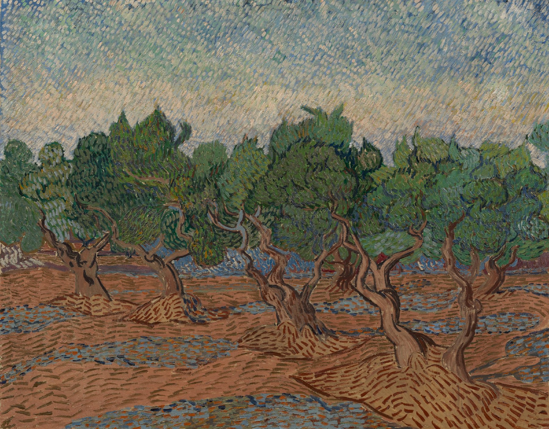 Olijfgaard Vincent van Gogh (1853 - 1890), Saint-Rémy-de-Provence, november-december 1889