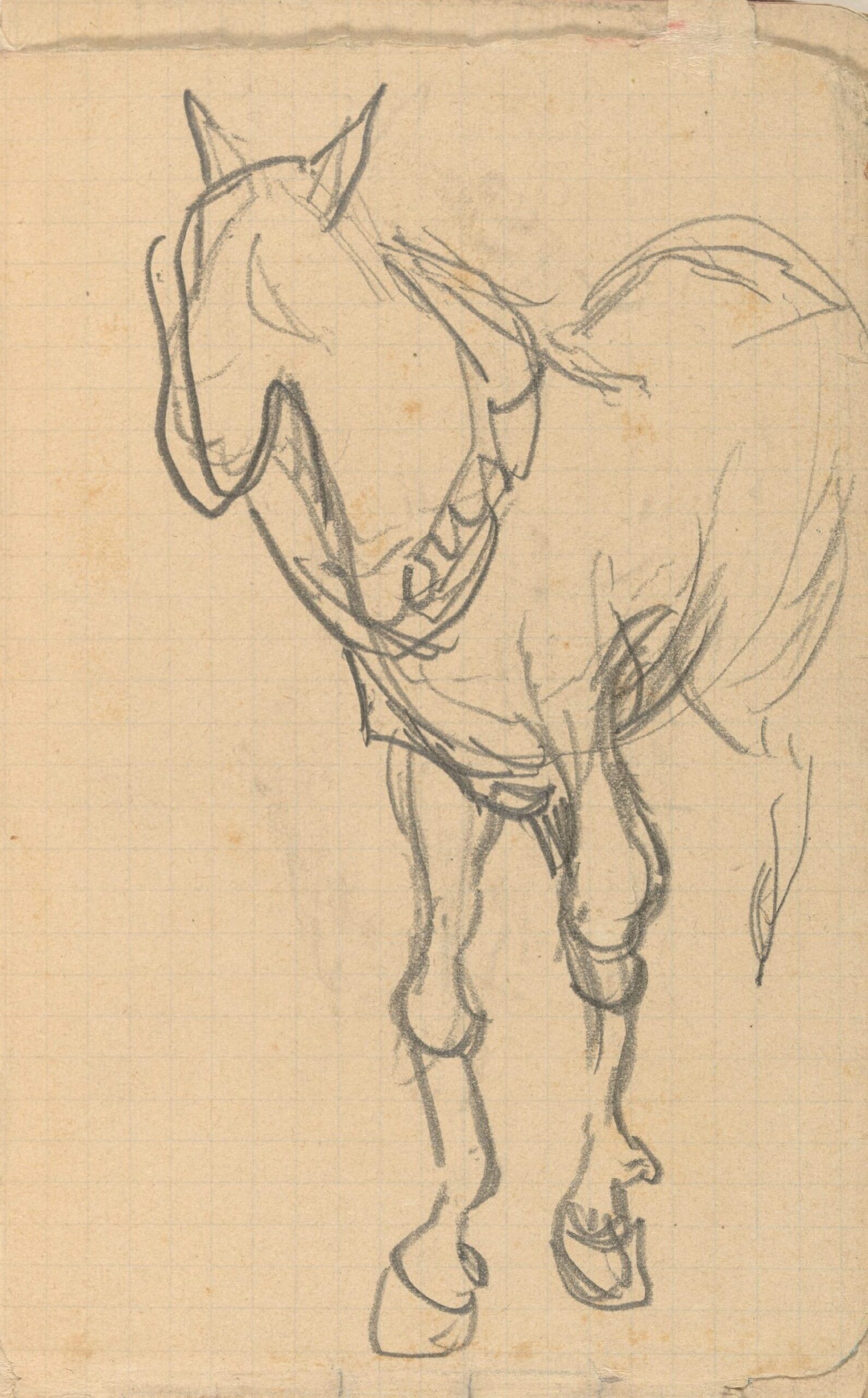 Paard Vincent van Gogh (1853 - 1890), mei-juli 1890