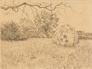 Park met struik Vincent van Gogh (1853 - 1890), Arles, april-mei 1888