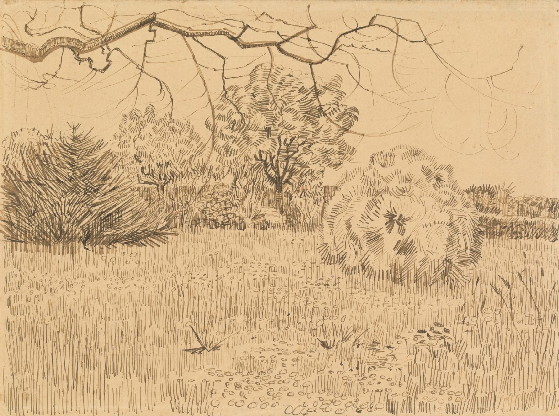 Park met struik Vincent van Gogh (1853 - 1890), Arles, april-mei 1888