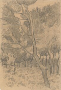 Pijnbomen en muur in de tuin van de inrichting Vincent van Gogh (1853 - 1890), Saint-Rémy-de-Provence, oktober 1889