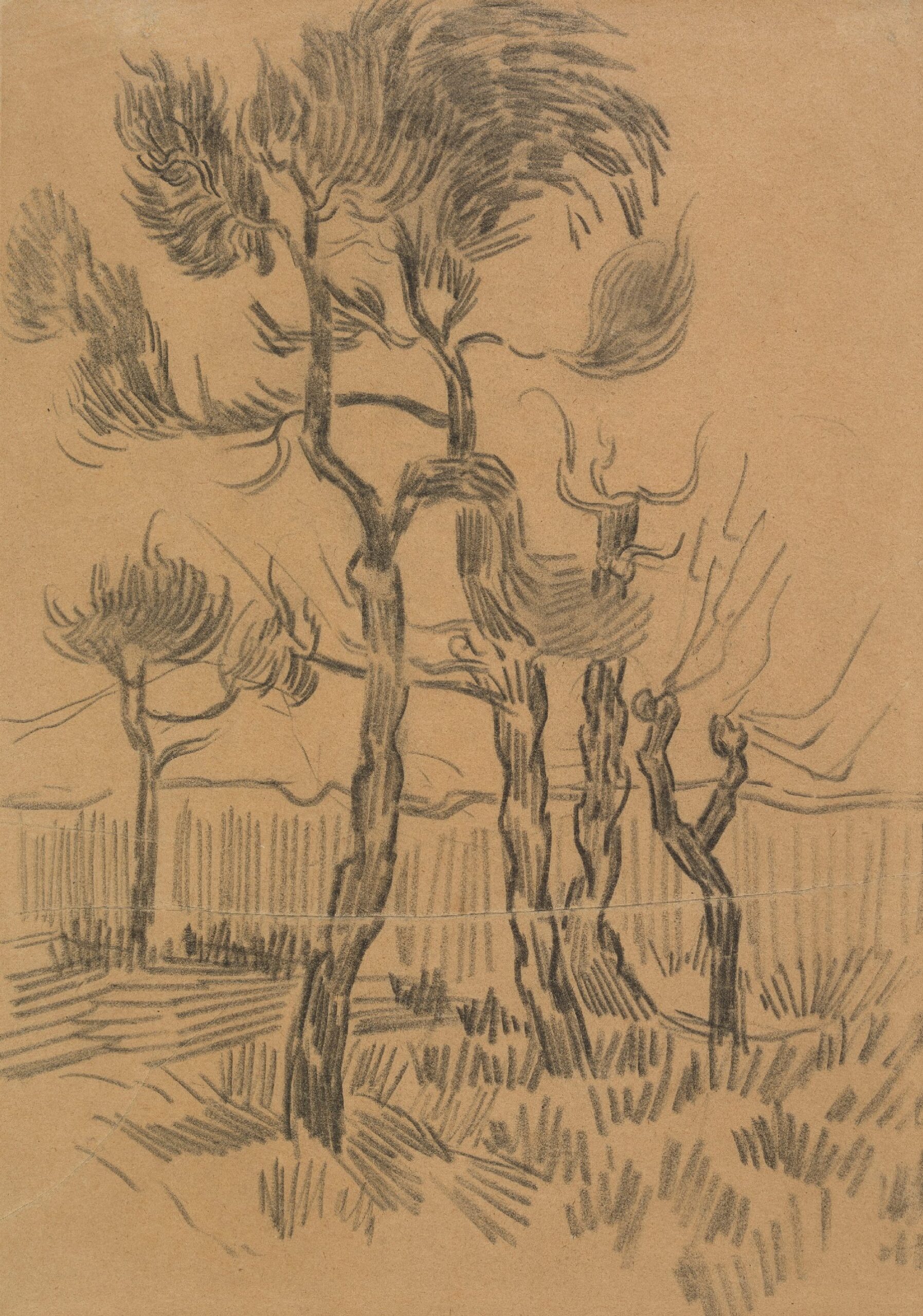 Pijnbomen en muur in de tuin van de inrichting Vincent van Gogh (1853 - 1890), Saint-Rémy-de-Provence, oktober 1889