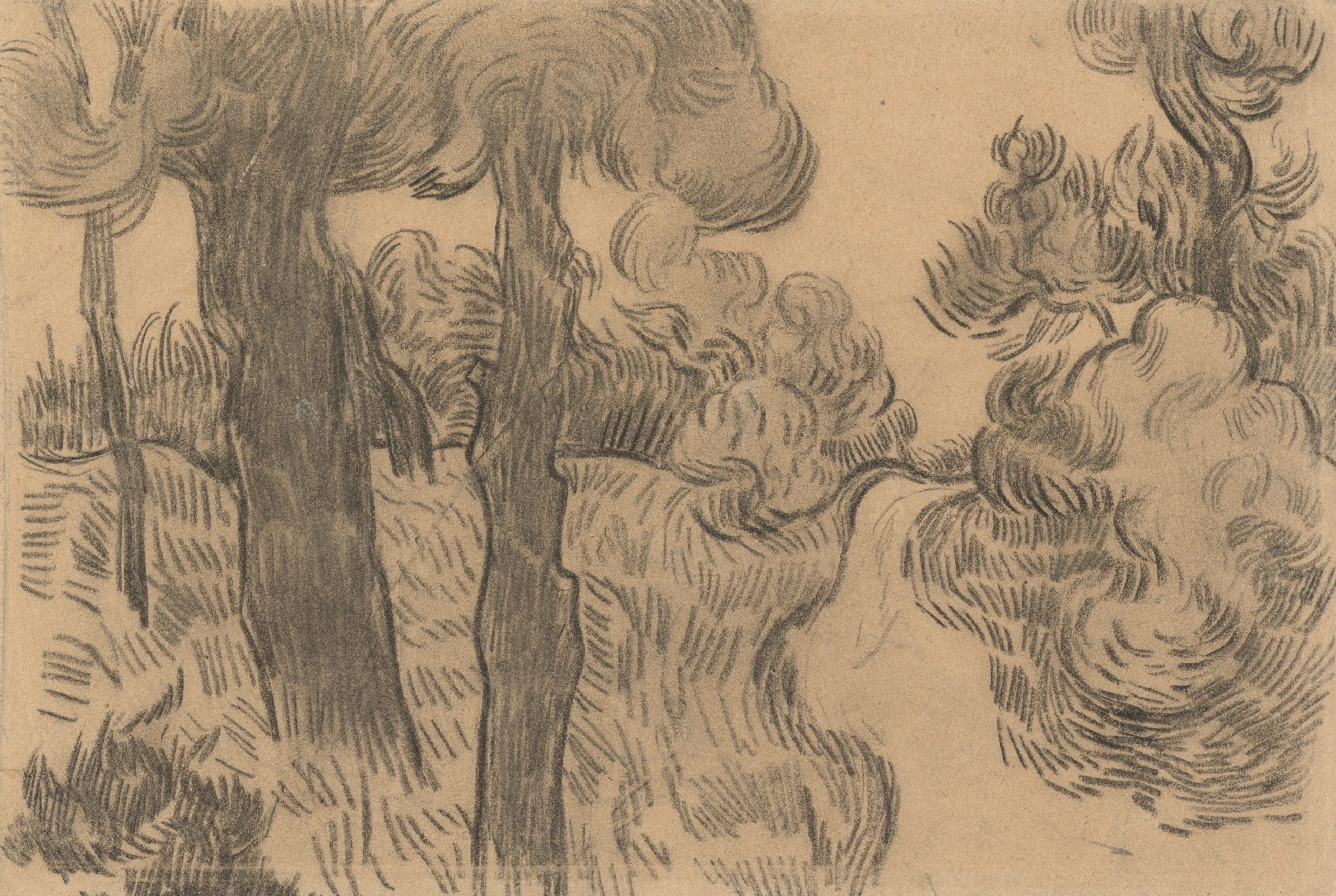 Pijnbomen naast een weg Vincent van Gogh (1853 - 1890), Saint-Rémy-de-Provence, oktober 1889