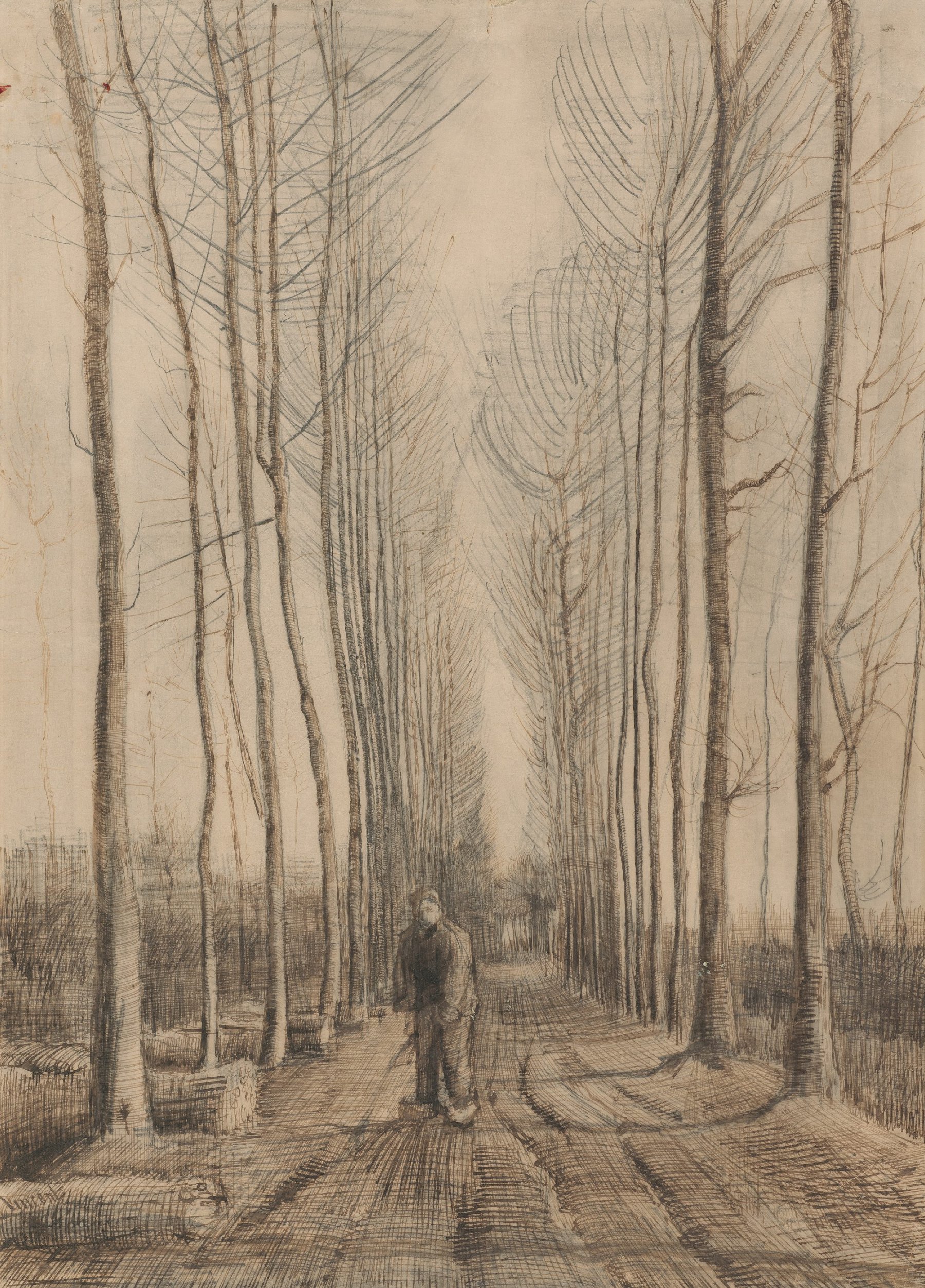 Populierenlaan Vincent van Gogh (1853 - 1890), Nuenen, maart 1884