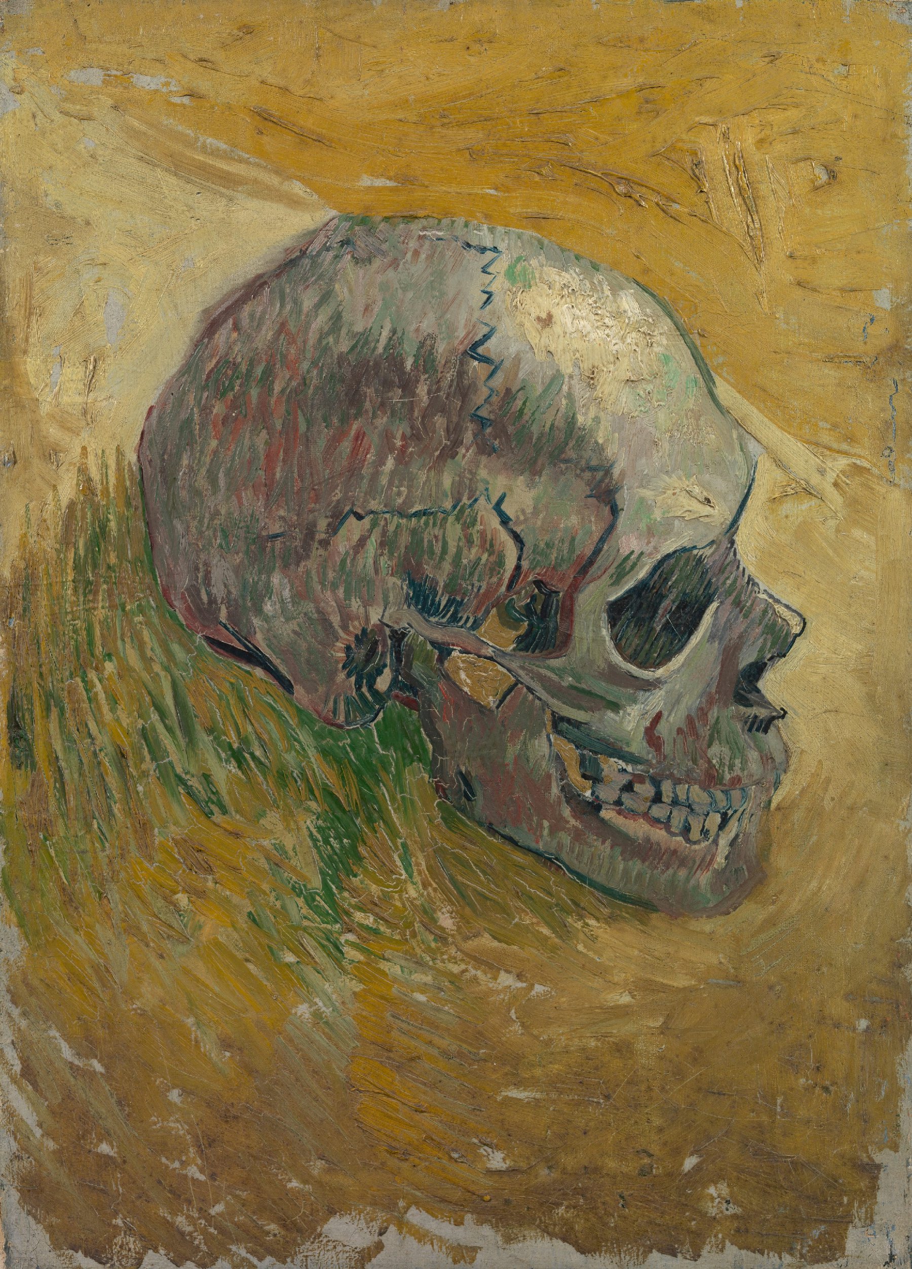 Schedel Vincent van Gogh (1853 - 1890), Parijs, mei 1887