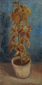 Siernetel in bloempot Vincent van Gogh (1853 - 1890), Parijs, juni-juli 1886