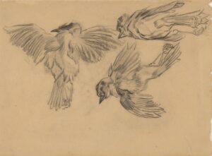 Studies van een dode mus Vincent van Gogh (1853 - 1890), Saint-Rémy-de-Provence, herfst 1889-lente 1890