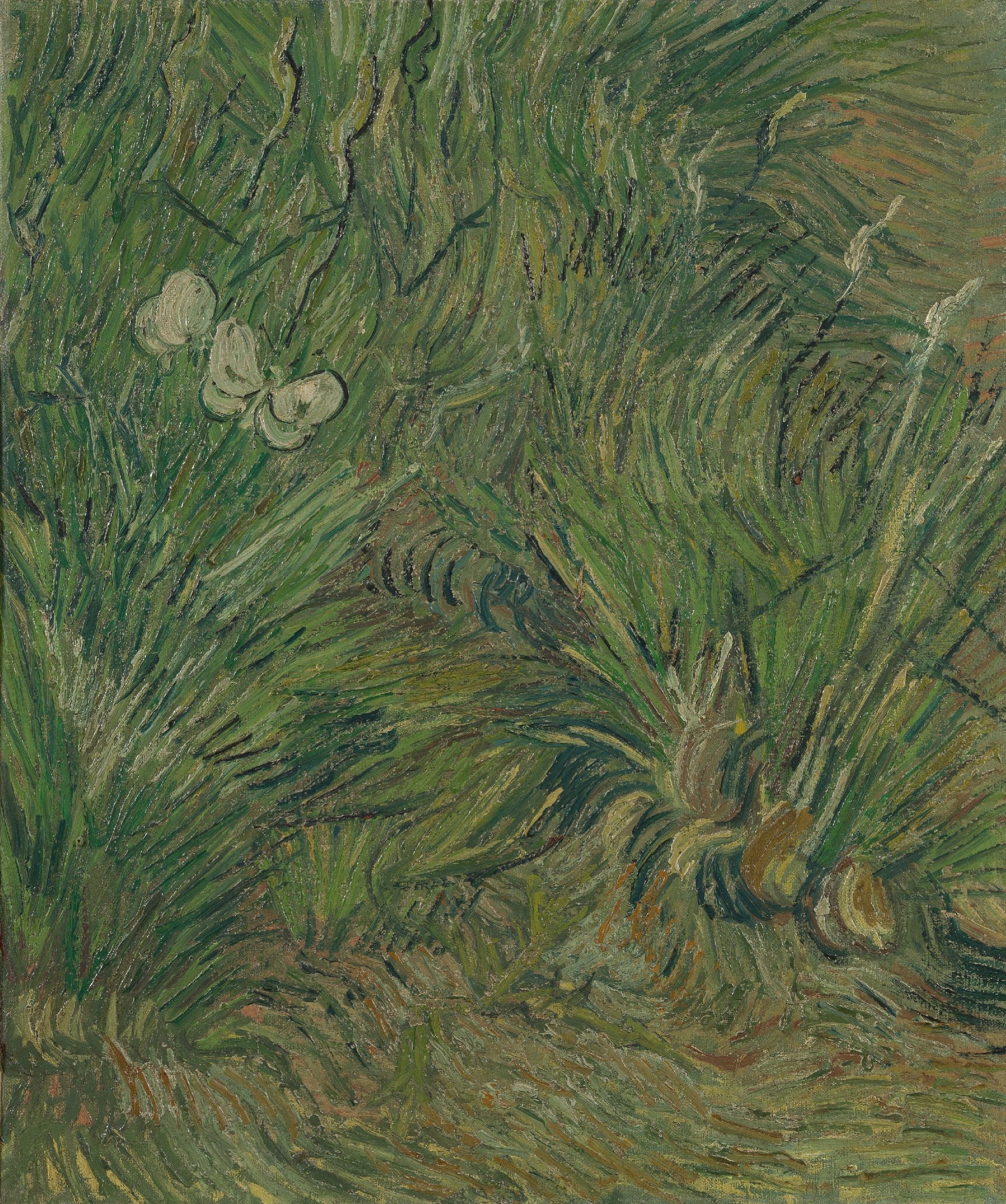 Tuin met vlinders Vincent van Gogh (1853 - 1890), Saint-Rémy-de-Provence, lente 1890