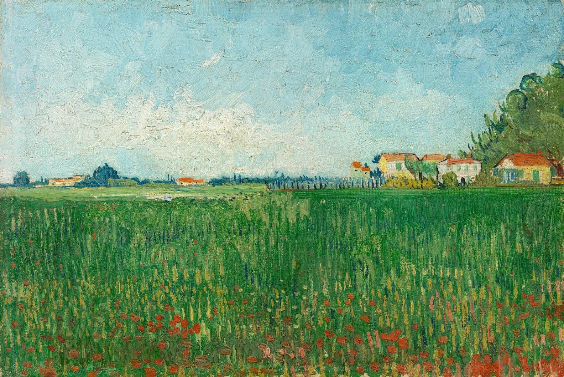 Veld met klaprozen Vincent van Gogh (1853 - 1890), Arles, mei 1888