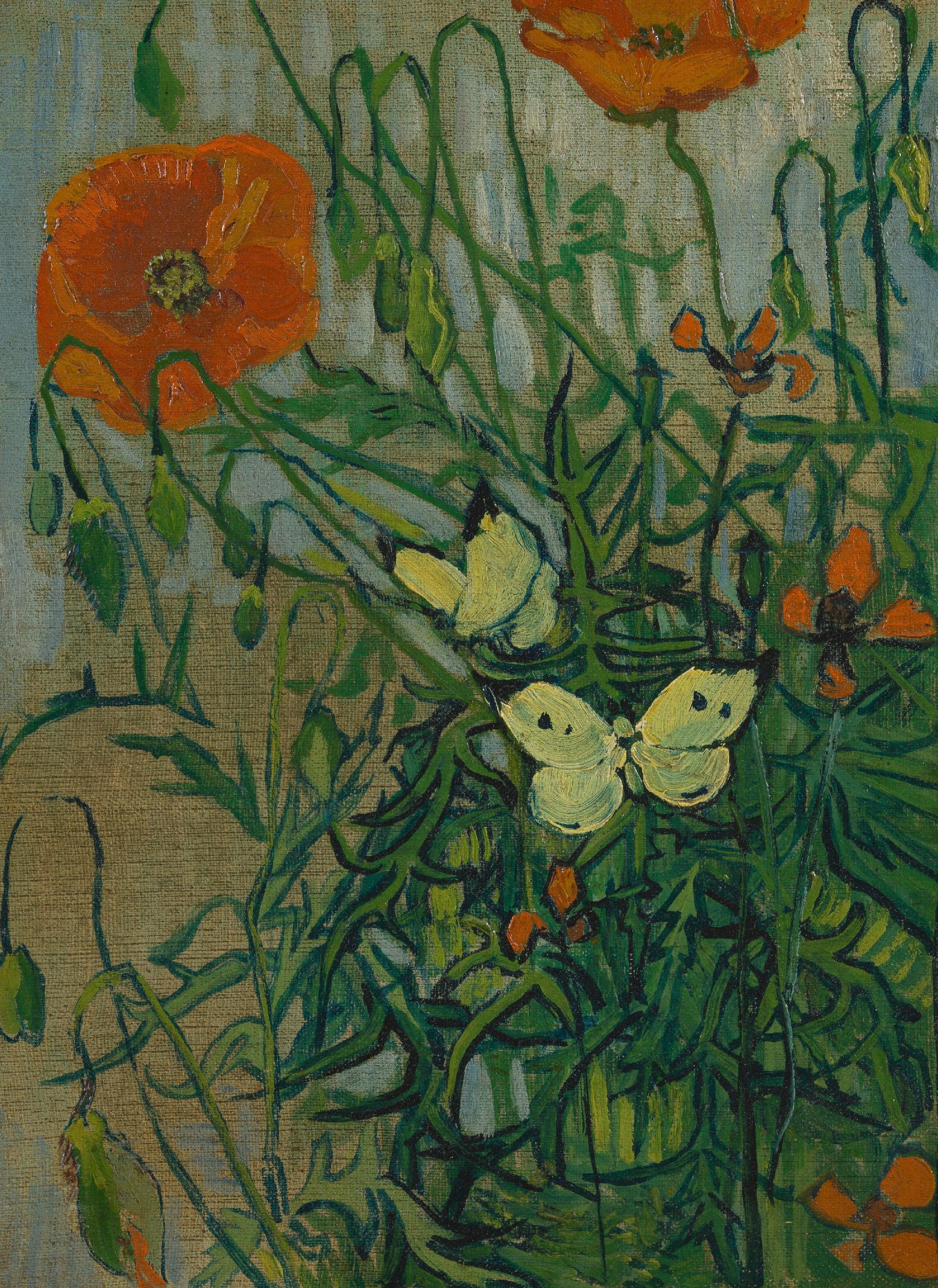 Vlinders en klaprozen Vincent van Gogh (1853 - 1890), Saint-Rémy-de-Provence, mei-juni 1889