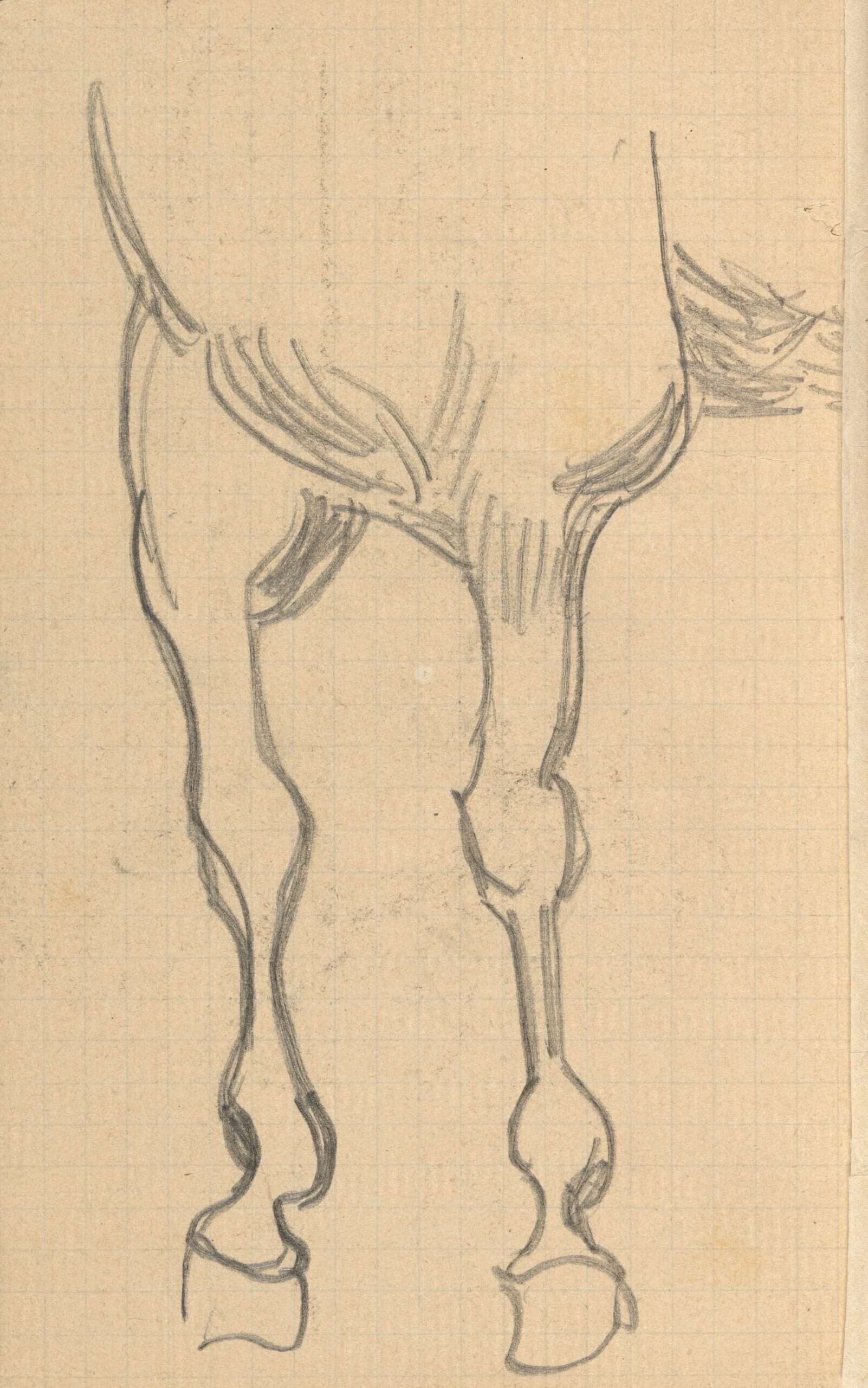 Voorbenen van een paard Vincent van Gogh (1853 - 1890), mei-juli 1890