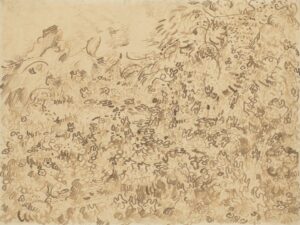 Wilde begroeiing Vincent van Gogh (1853 - 1890), Saint-Rémy-de-Provence, juni-juli 1889