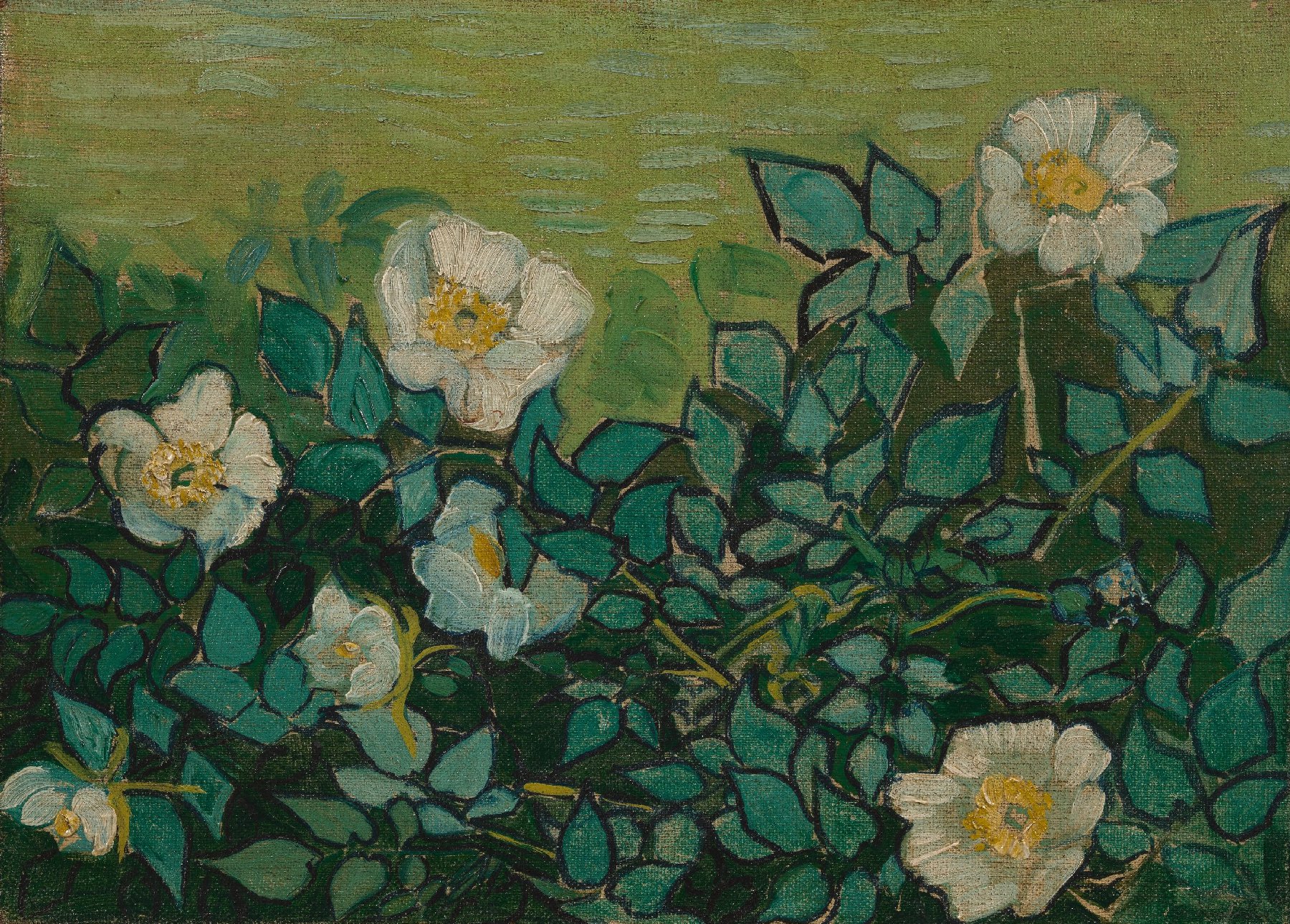 Wilde rozen Vincent van Gogh (1853 - 1890), Saint-Rémy-de-Provence, mei-juni 1889