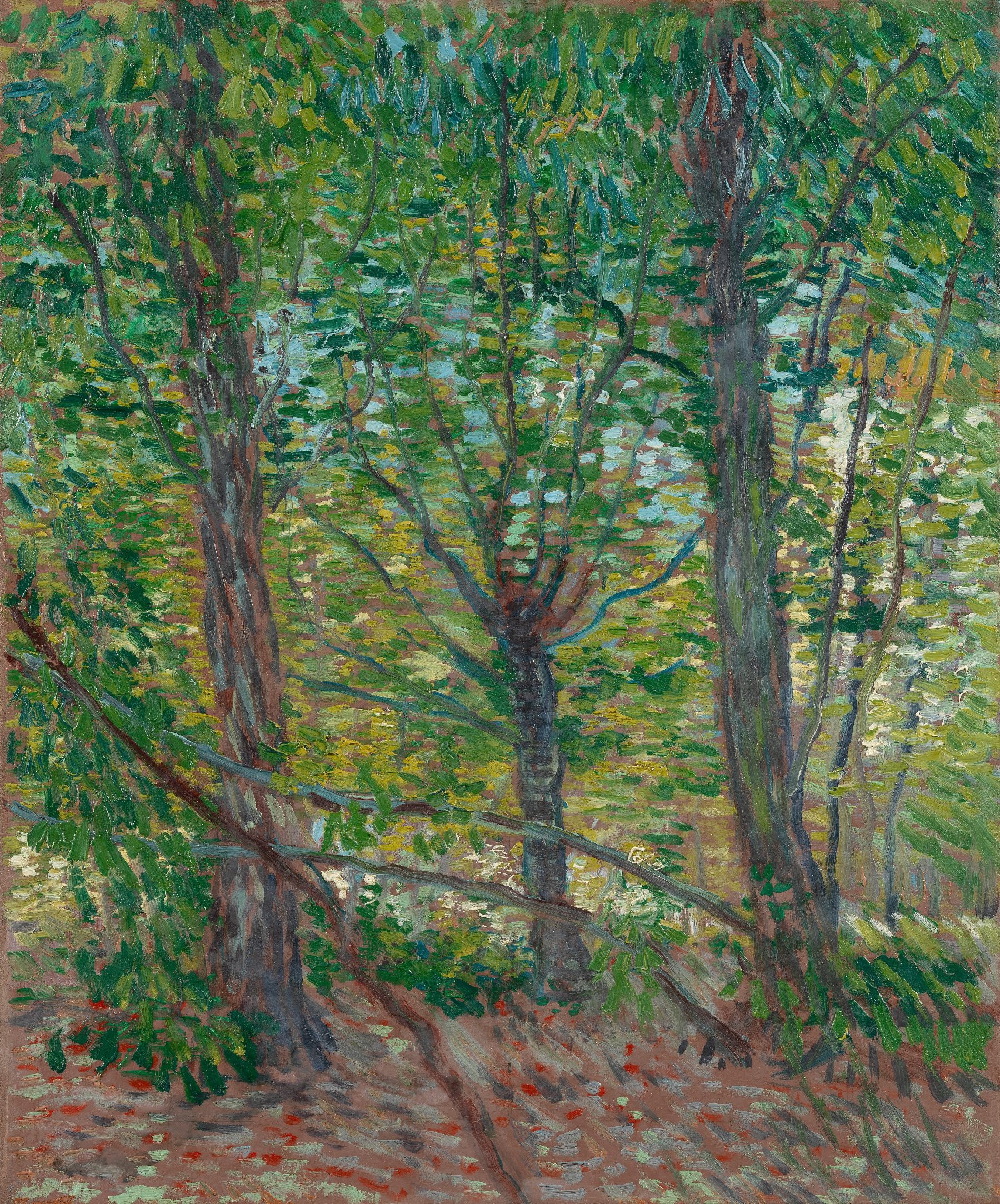 Bomen Vincent van Gogh (1853 - 1890), Parijs, juli 1887