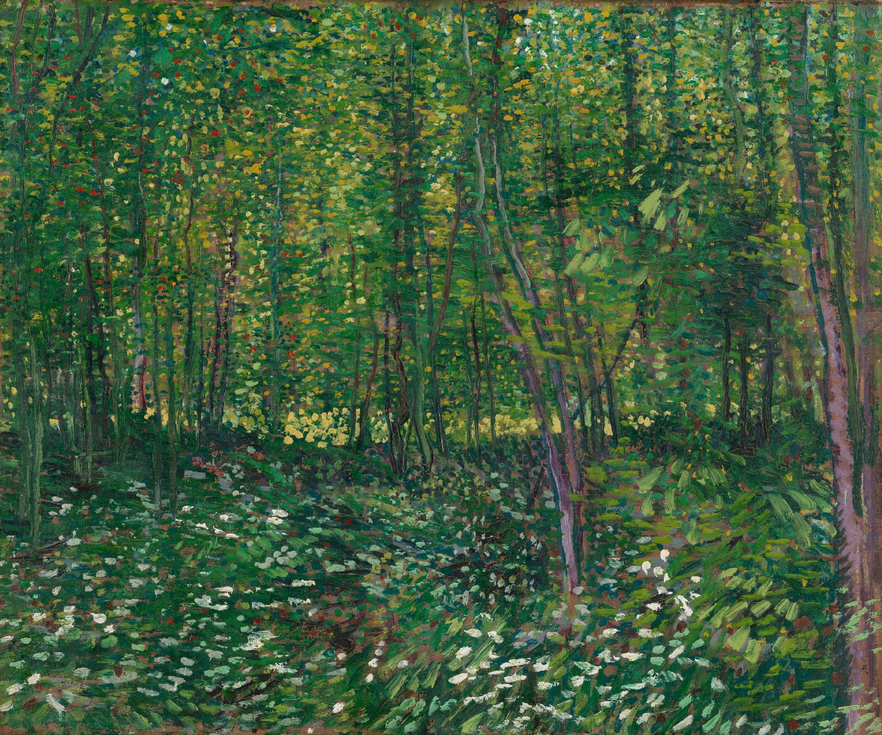 Bos met kreupelhout Vincent van Gogh (1853 - 1890), Parijs, juli 1887