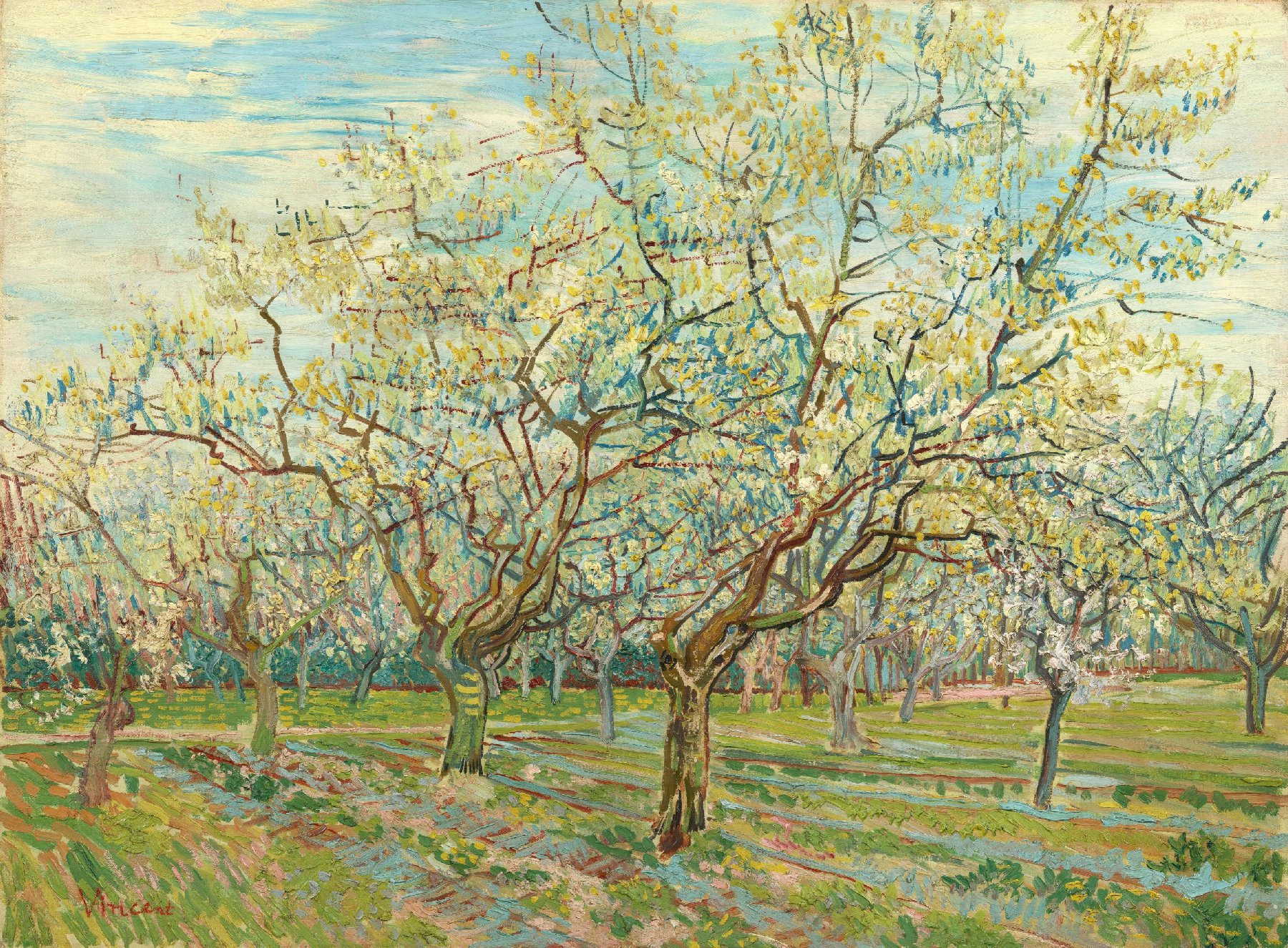 De witte boomgaard Vincent van Gogh (1853 - 1890), Arles, april 1888
