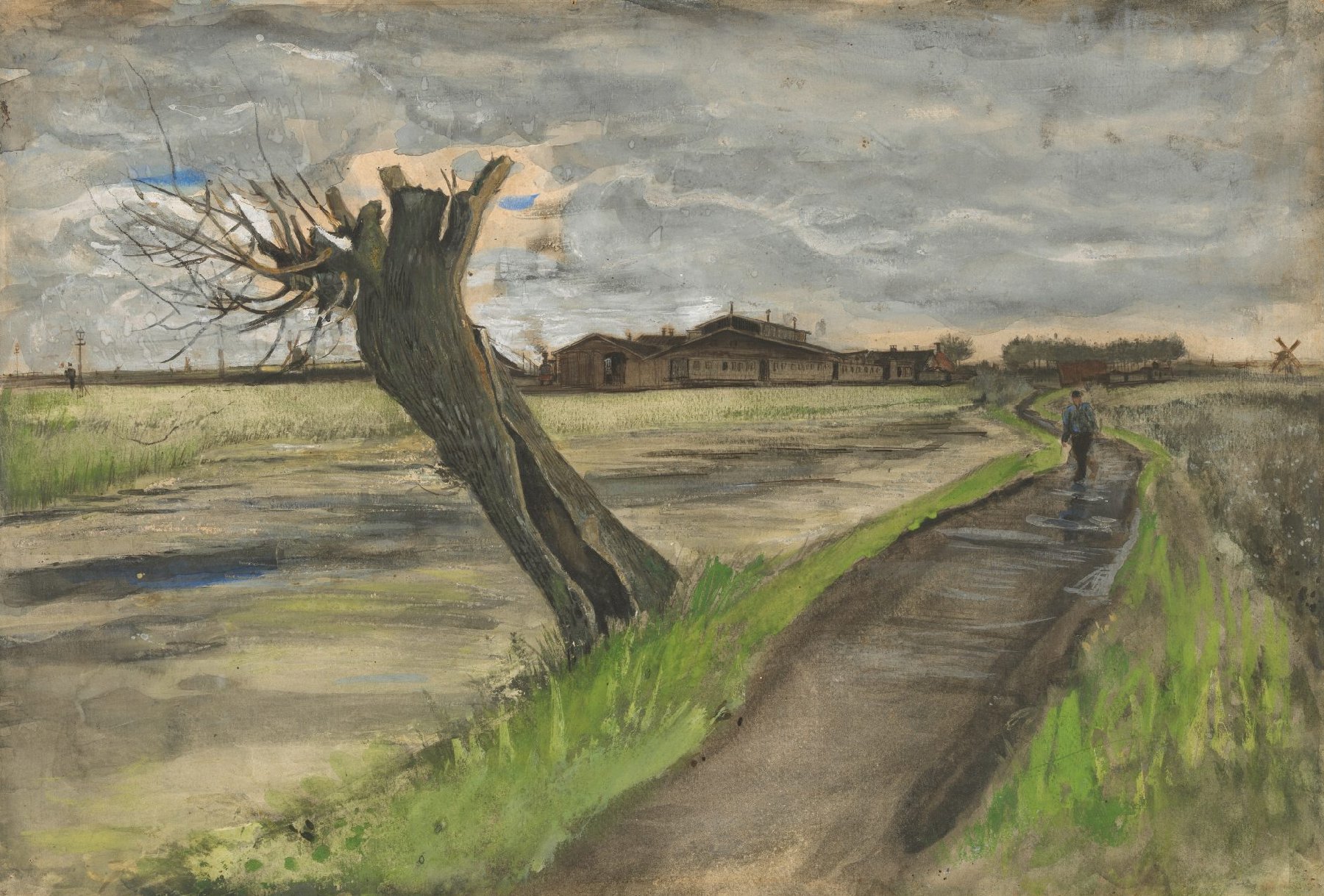 Knotwilg Vincent van Gogh (1853 - 1890), Den Haag, juli 1882