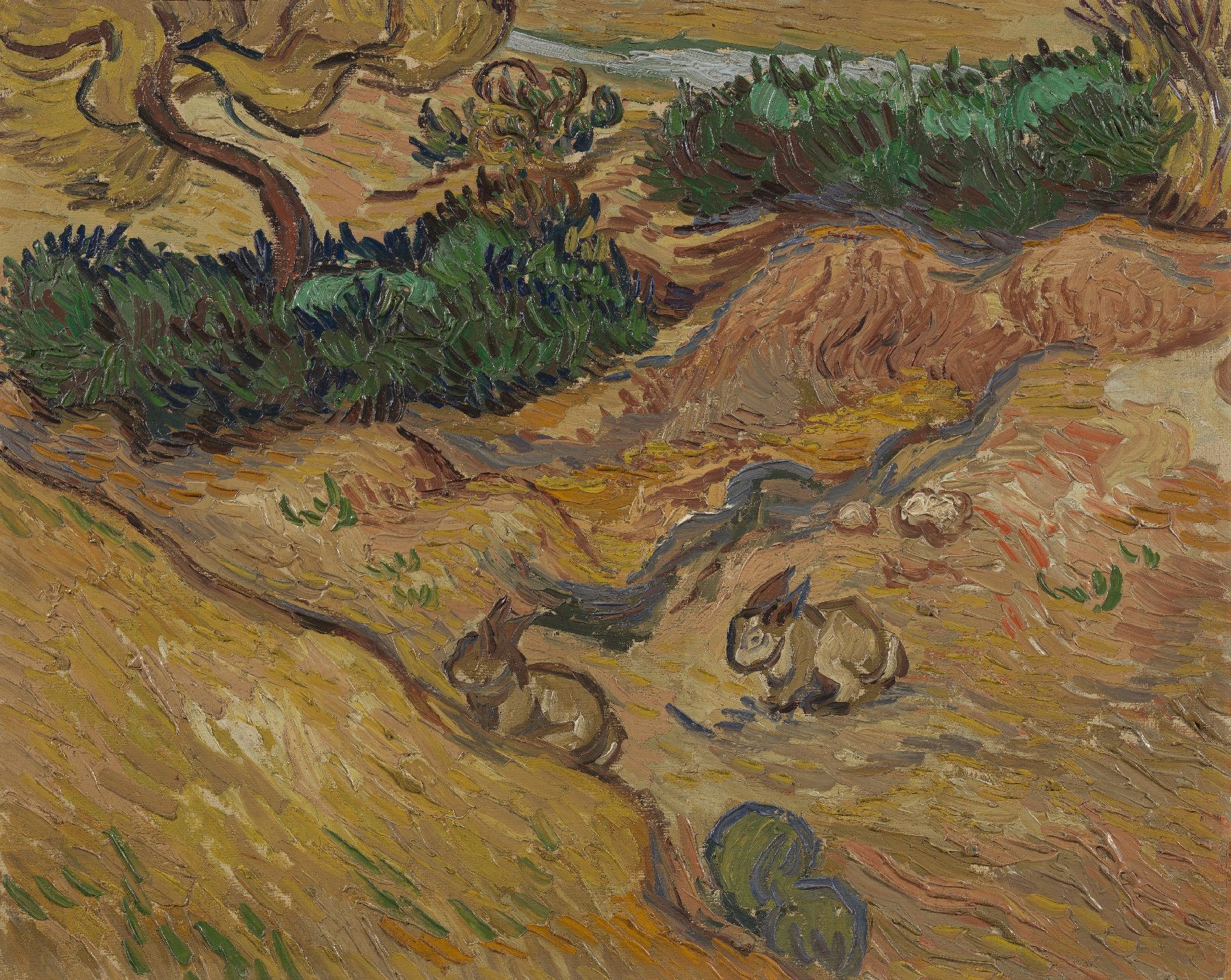 Landschap met konijnen Vincent van Gogh (1853 - 1890), Saint-Rémy-de-Provence, december 1889
