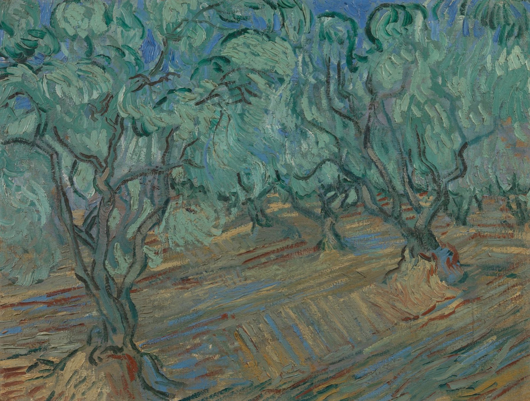 Olijfgaard Vincent van Gogh (1853 - 1890), Saint-Rémy-de-Provence, juni 1889
