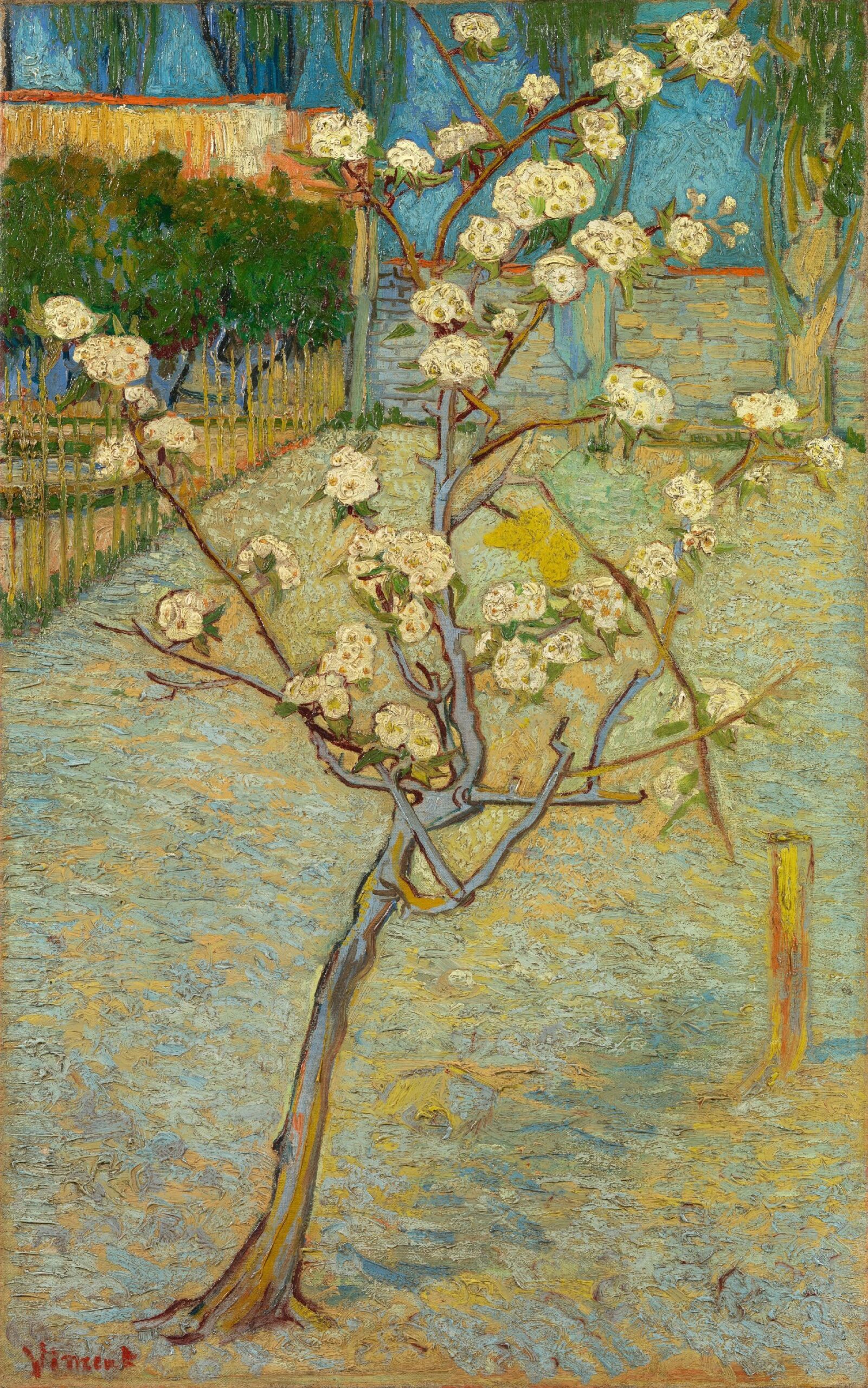 Perenboompje in bloei Vincent van Gogh (1853 - 1890), Arles, april 1888