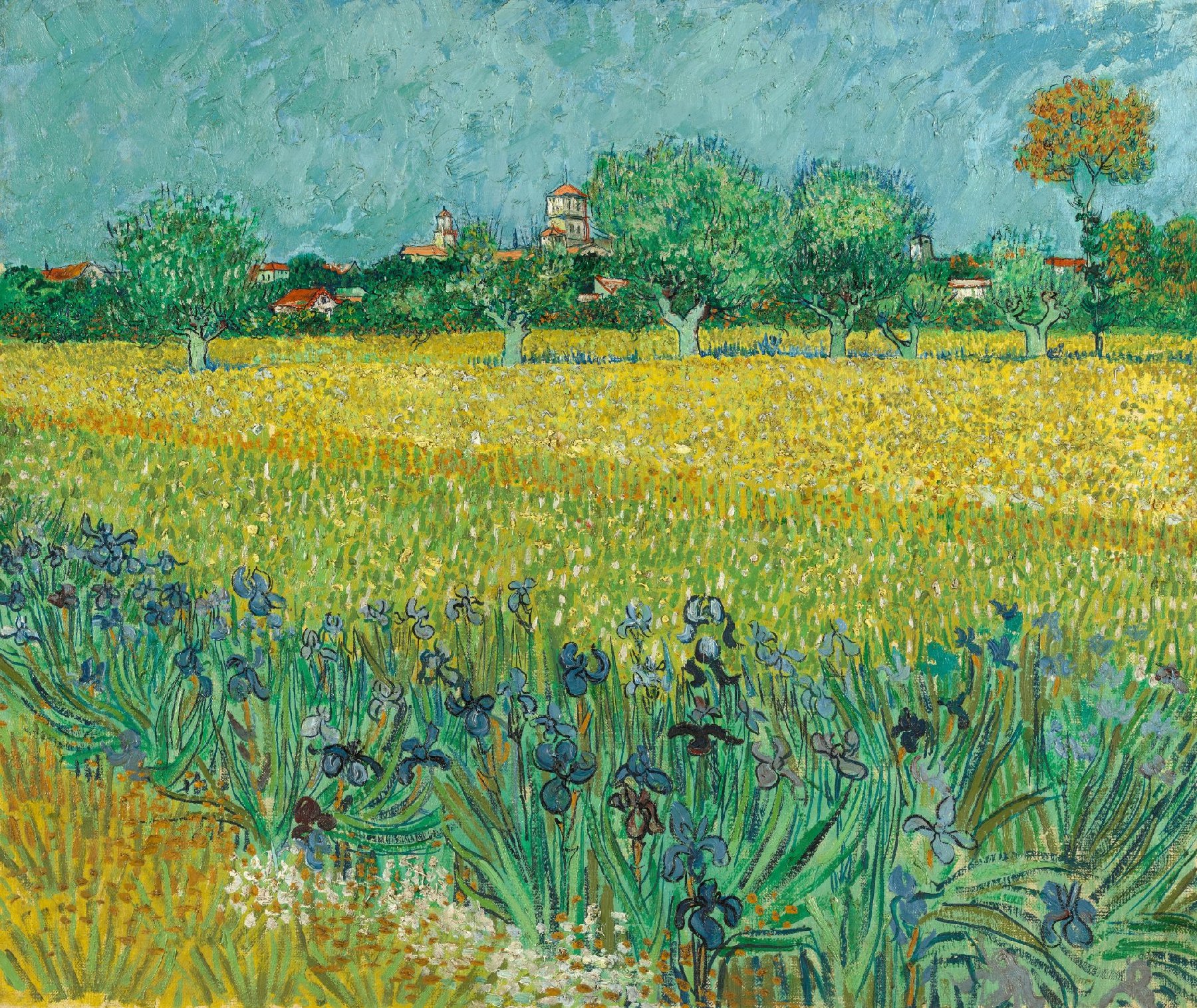 Veld met irissen bij Arles Vincent van Gogh (1853 - 1890), Arles, mei 1888