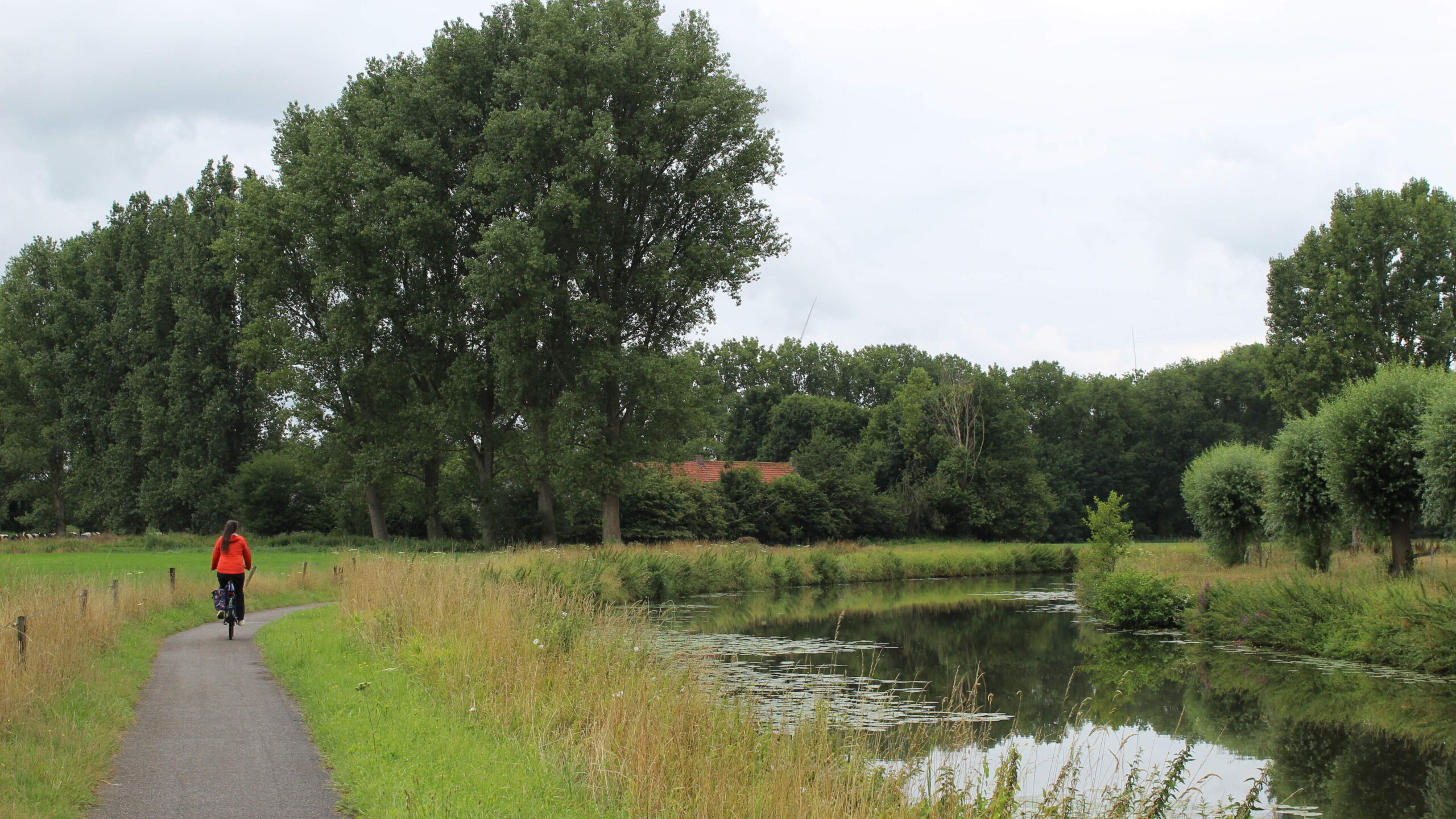 0Fietsen20Brabant2011 scaled