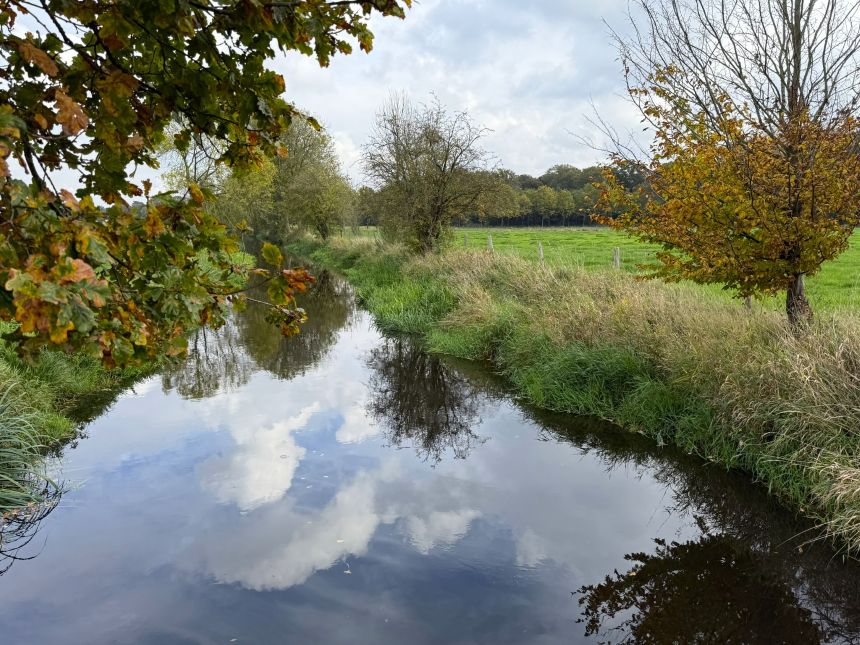 uitzicht over sloot met bomen in herfstige kleur