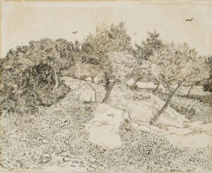 vincent van gogh oliviers a montmajour