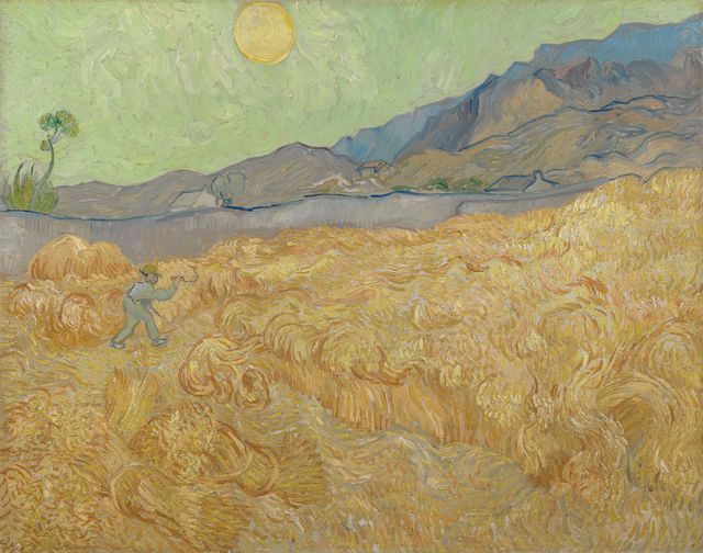 Van Gogh hield van helder. We zien echter een unieke kleur geel dan wat hij afgebeeld heeft. 10 Vincent van Gogh, 1889, Cornfield met tractor.
